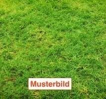 Niddatal Grundstücke, Niddatal Grundstück kaufen