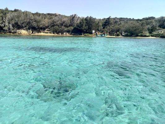 PHOTO-2025-10-04-20-31-22 (1).jpg