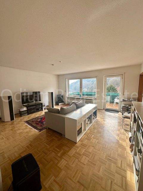 Heidelberg Wohnungen, Heidelberg Wohnung kaufen