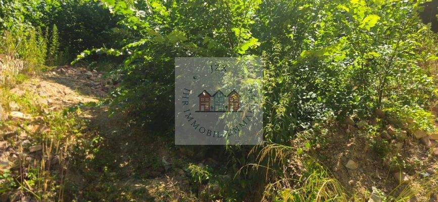 WhatsApp Image 2025-07-02 at 13.09.10