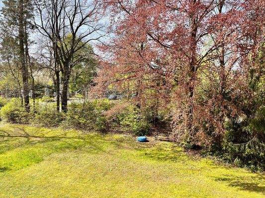 Foto 04.05.23, 10 32 53.jpg