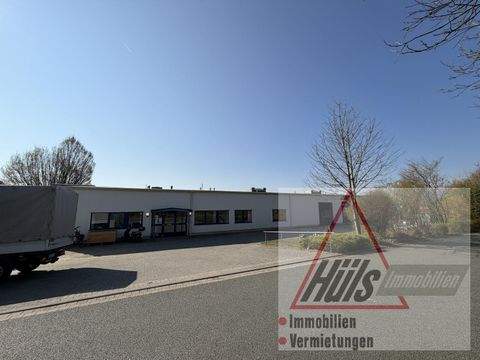 Bad Iburg Halle, Bad Iburg Hallenfläche