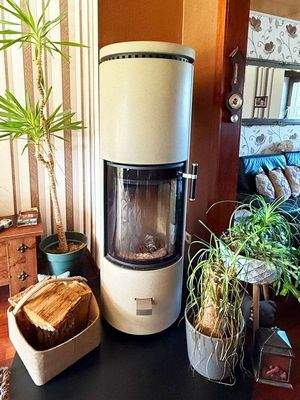 Neuwertiger Kaminofen