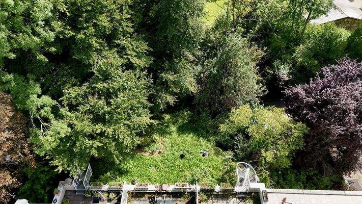 Dachterasse rechts mit Zugang zum Garten
