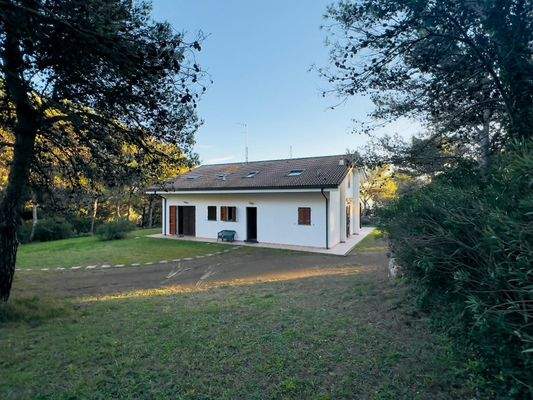 PHOTO-2024-12-11-21-49-57 23.jpeg