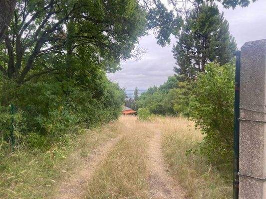 Zufahrt zum Bungalow Bild 1