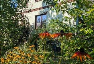 PXL_20260813_141036638.jpg