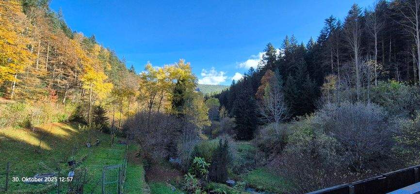 OG_Aussicht vom Balkon 2