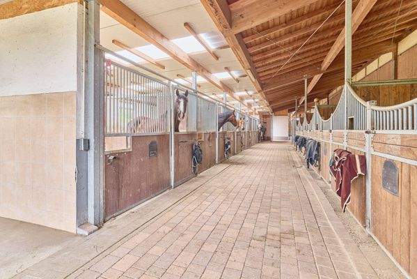 12 Einstaller-Stallung.jpg