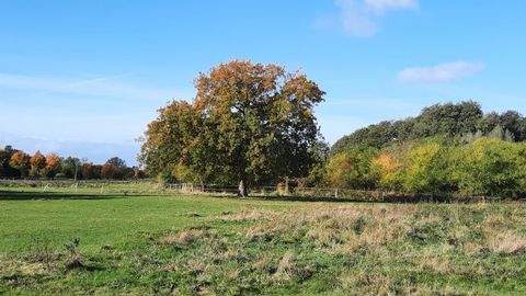 Blankenhagen Grundstücke, Blankenhagen Grundstück kaufen