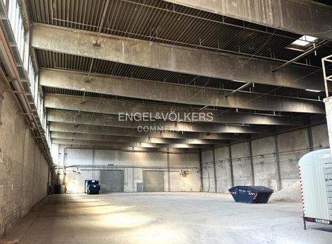 Berlin Halle, Berlin Hallenfläche