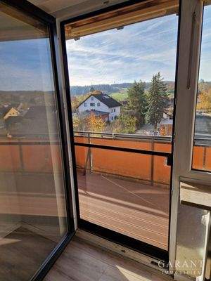 Balkontür mit Fliegengitter - Fernsicht