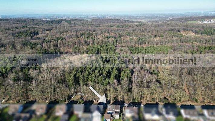 Umgebung - Ganz viel Wald!!