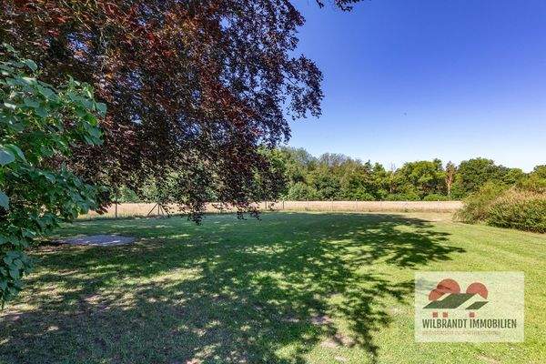 Freier Blick bis zum Wald