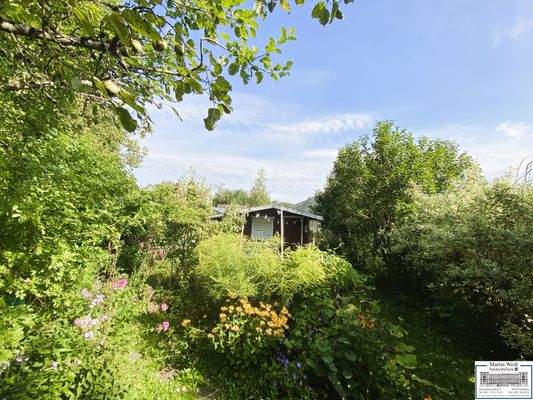 Blick in den Kleingarten