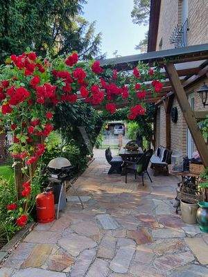 Gemütlich auf der Terrasse