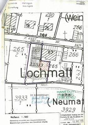 Flurkarte_Riehenstr. 67, 79594 Inzlingen_page-0001 (1)
