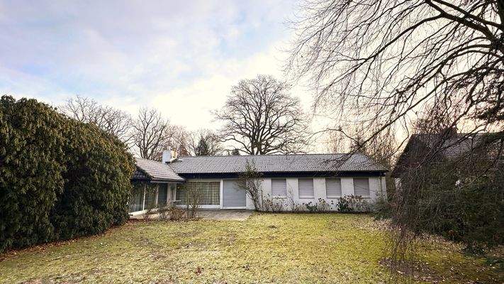 Blick auf Altbestand