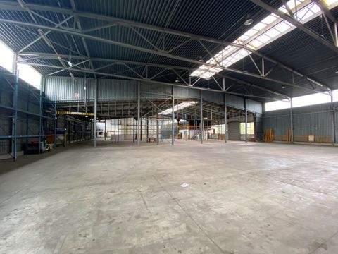 Hamburg Halle, Hamburg Hallenfläche