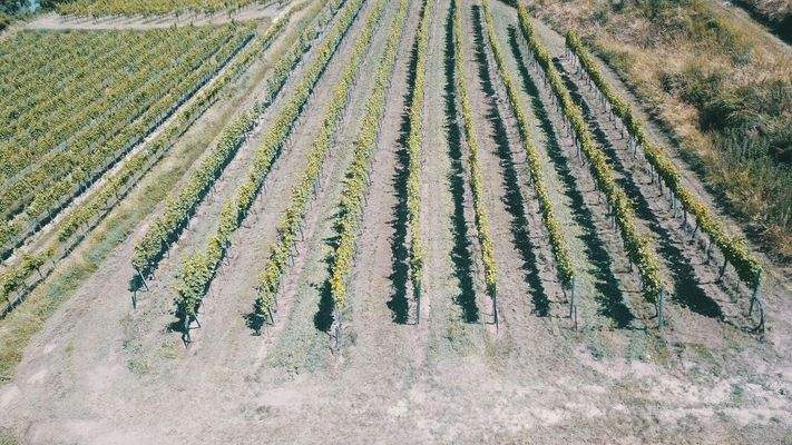 Blick Richtung Osten