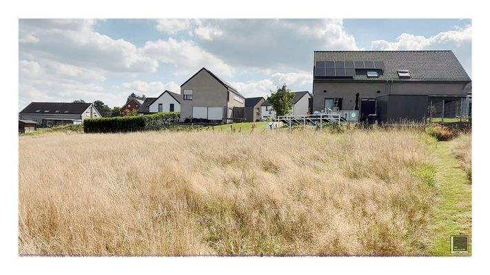 Blick aus dem Grünen aufs Haus
