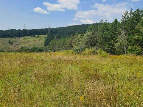 Voynegovtsi Industrieflächen, Lagerflächen, Produktionshalle, Serviceflächen