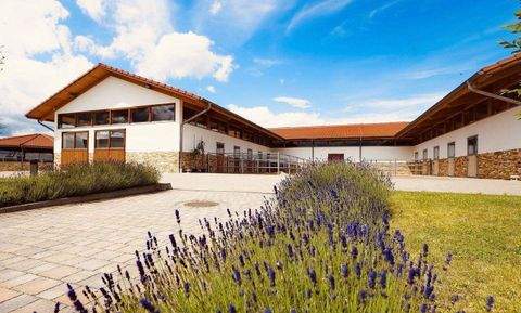 Steinau an der Straße Bauernhöfe, Landwirtschaft, Steinau an der Straße Forstwirtschaft