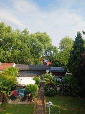 Blick in den Garten...jpg