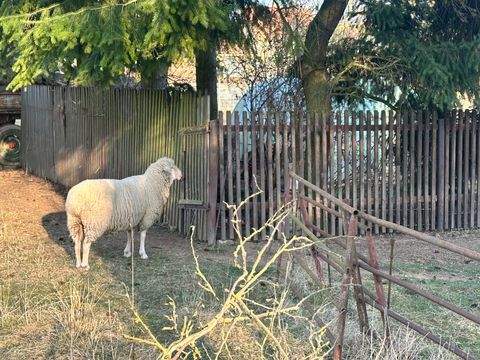 Mühlhausen OT Grabe Grundstücke, Mühlhausen OT Grabe Grundstück kaufen