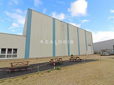 Bocholt Halle, Bocholt Hallenfläche