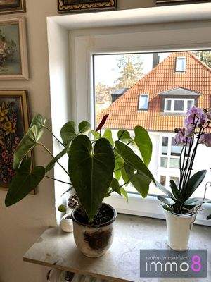 Haus 1_DG_Fenster  erneuert