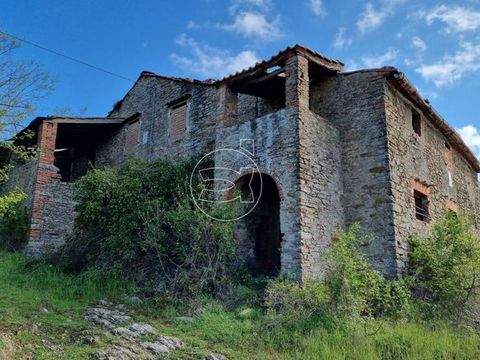 Arezzo Häuser, Arezzo Haus kaufen