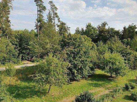 Sicht v. DG Süd- Ost 