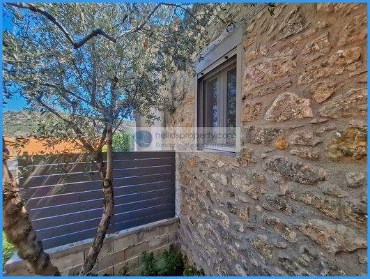 b24540b0be424bc9a1d30bf01deb2399-original