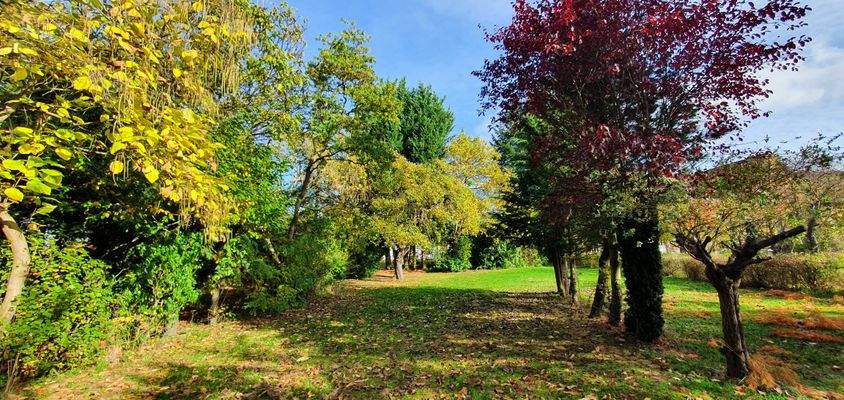 Ansichten - Grundstück - Wald 