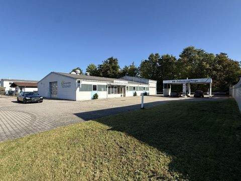 Waldkraiburg Halle, Waldkraiburg Hallenfläche