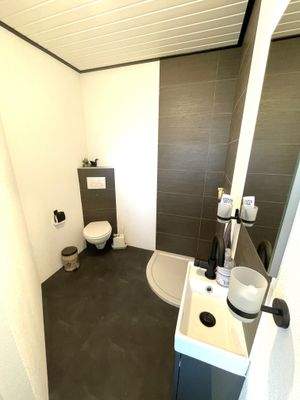 Gäste-WC mit Dusche EG