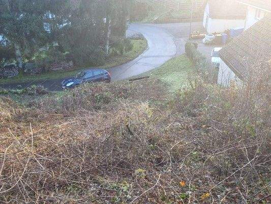 Blick in die Nachbarschaft