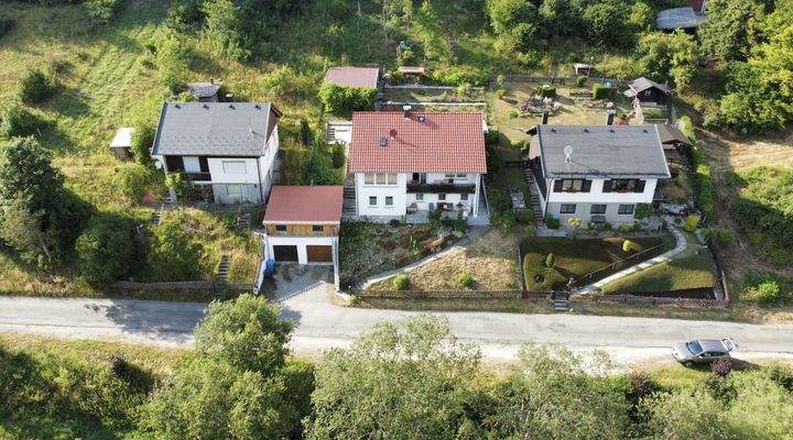 Haus (Mitte) & Nachbarhäuser