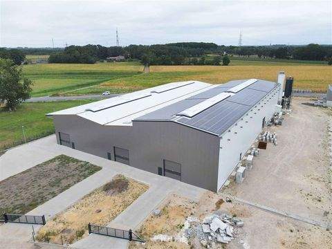 Gronau Halle, Gronau Hallenfläche