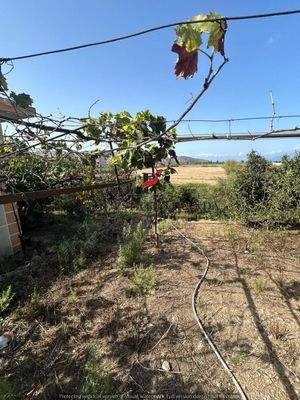 WhatsApp Image 2024-09-06 at 10.30.37 (4).jpeg