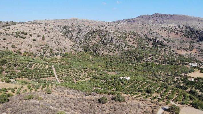 Kreta, Stilos: Ruhiges Hanggrundstück mit Meerblick zu verkaufen