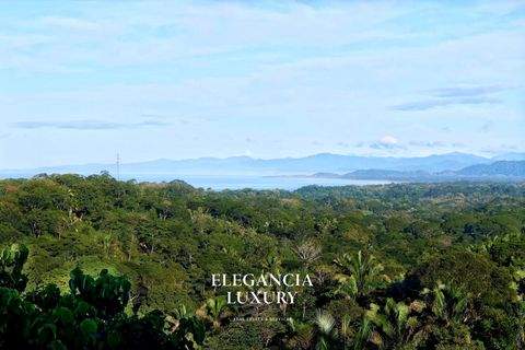 Cóbano Bauernhöfe, Landwirtschaft, Cóbano Forstwirtschaft