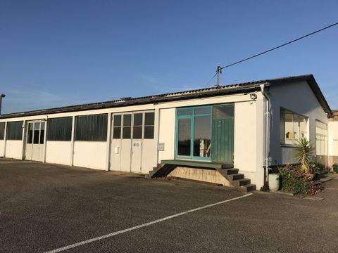 Mühlheim am Inn Halle, Mühlheim am Inn Hallenfläche