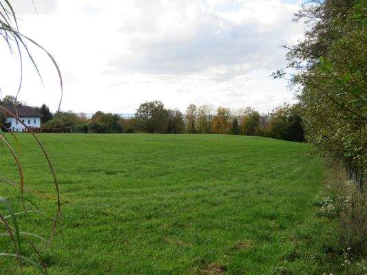  umgeben von Wiesen und Wäldern 