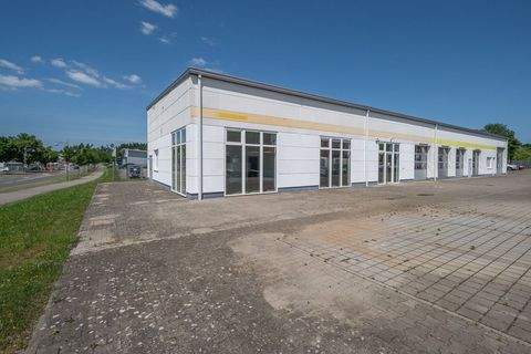 Bad Dürrheim Halle, Bad Dürrheim Hallenfläche