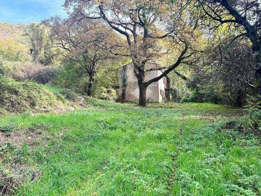 WhatsApp Image 2024-11-05 at 11.23.59 (1).jpeg