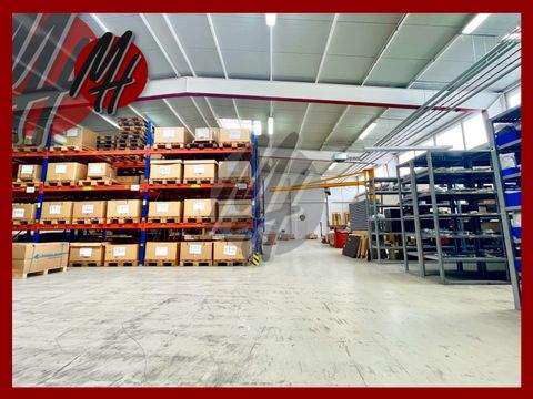 Kleinostheim Halle, Kleinostheim Hallenfläche