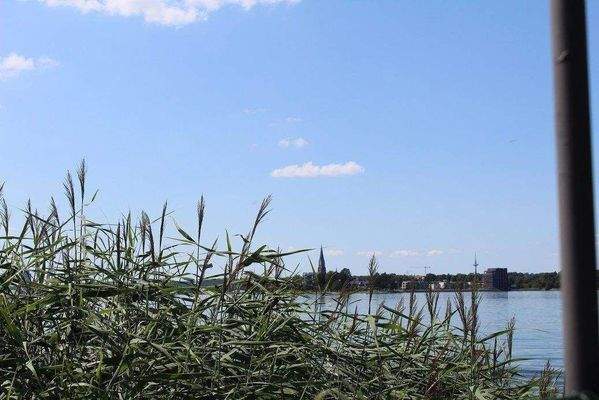 Dom und Schliekieker fest im Blick