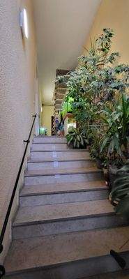 Treppenflur/Aufgang